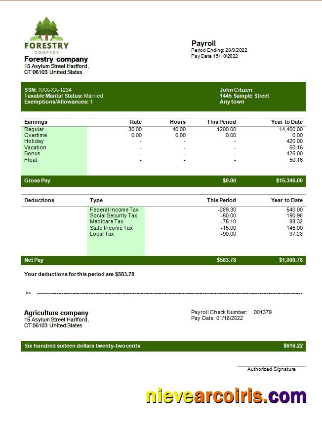 forestry company payslip